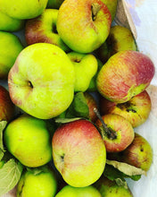 Lade das Bild in den Galerie-Viewer, Apfelmus Happen